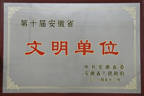 第十届安徽省文明单位